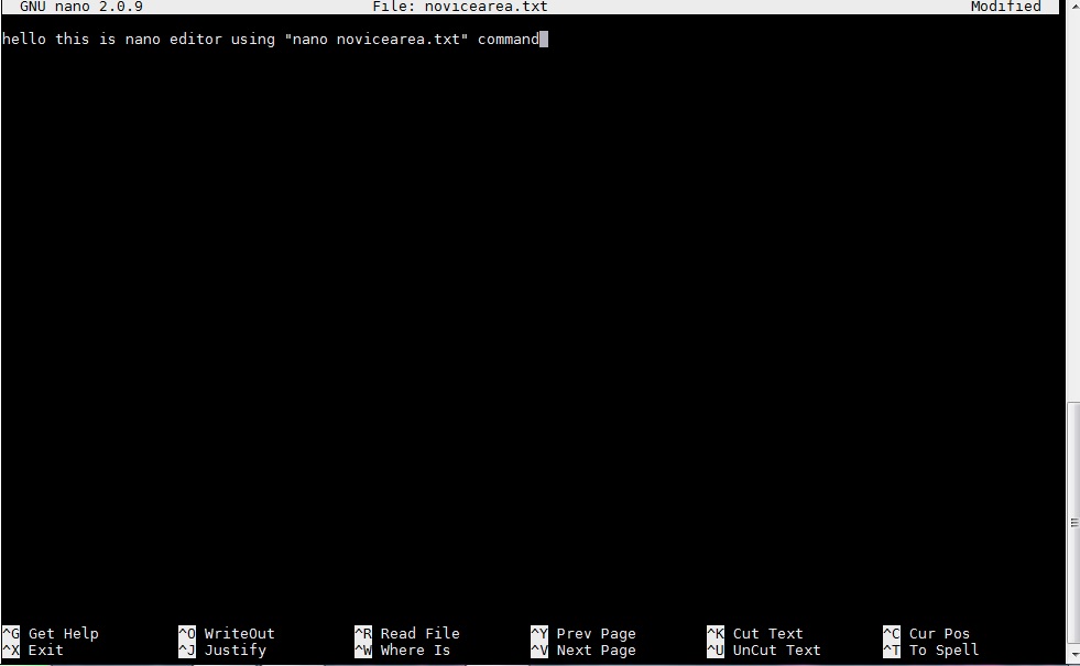 Nano on Linux Terminal