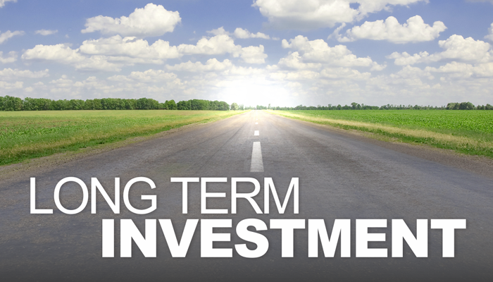 Your Domain Name is Your long Term Investment