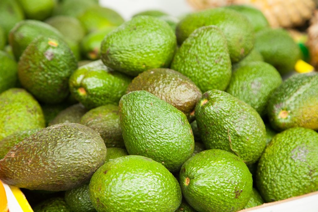 Fresh Avocado Fruits