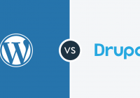 Wordpress or Drupal CMS that is suitable for your needs