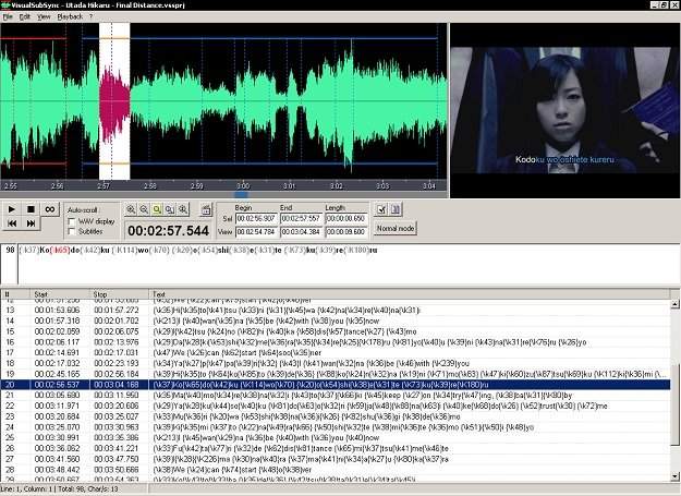 VisualSubSync Software Interface