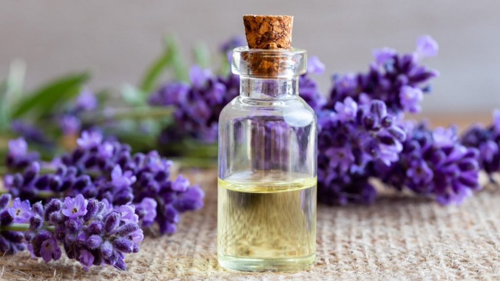 Lavender Oil Advantage to cure Sore Throat