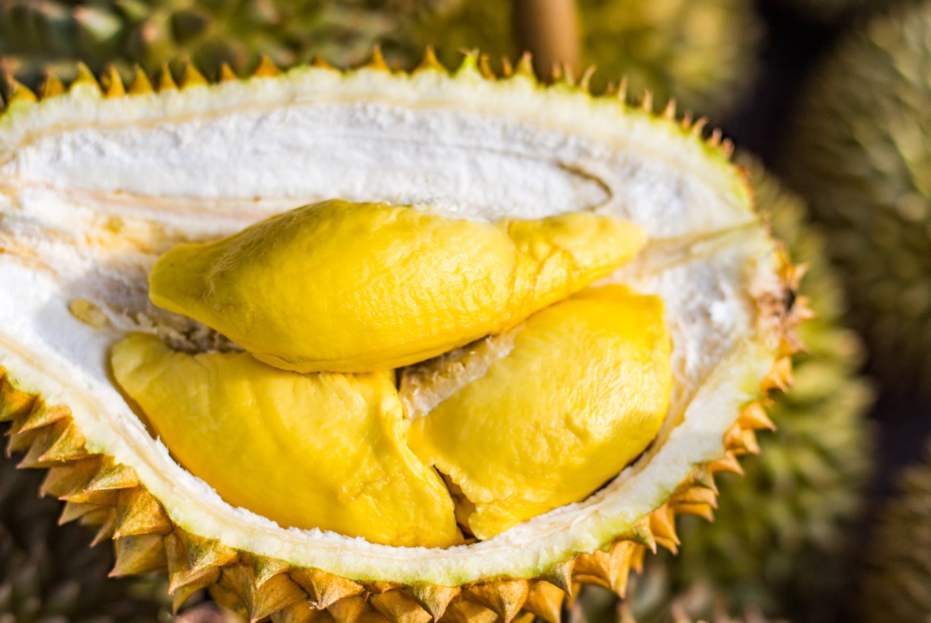 Benefits and Efficacy of Durian Fruit