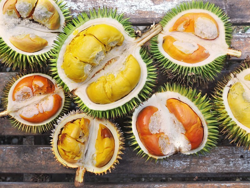 Various type and Kind of Durians