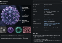 Hantavirus - novicearea