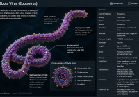 Virus Ebola